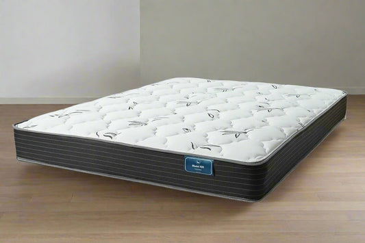 Model 100 - Mattresses - #Color# - The Home Furniture Outlet - Twin - Phoenix - Arizona