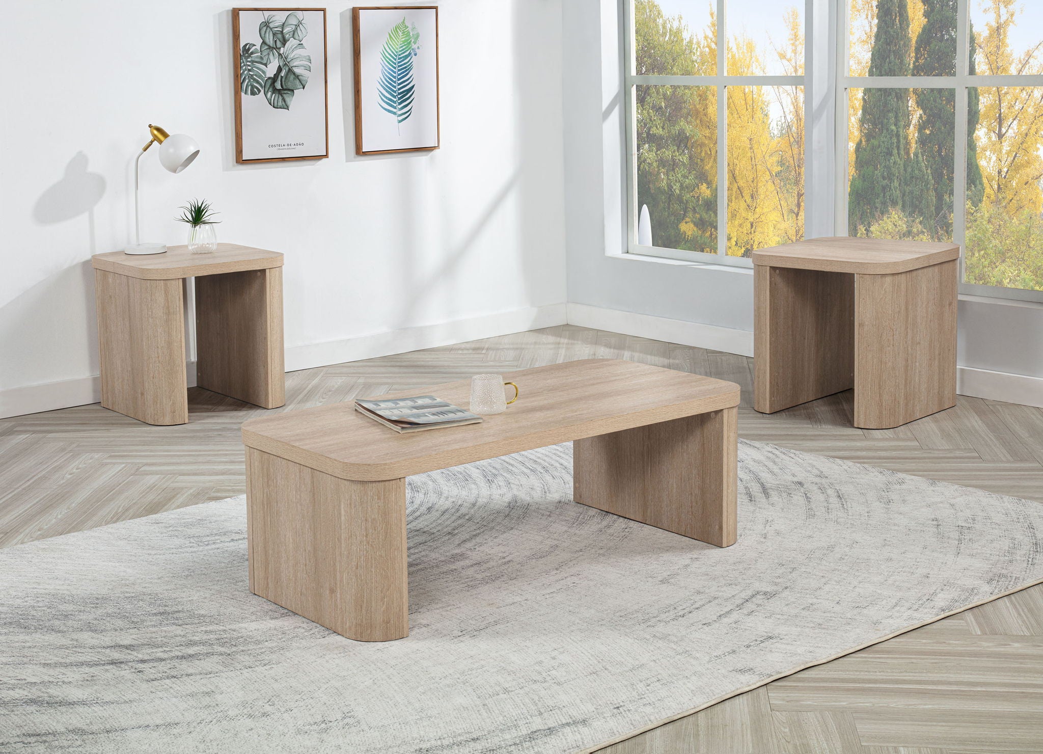 ASHTON 3-PK COCKTAIL SET