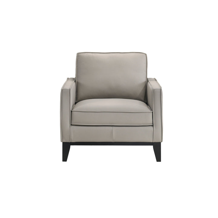 Aaron - Chair - Mist Gray