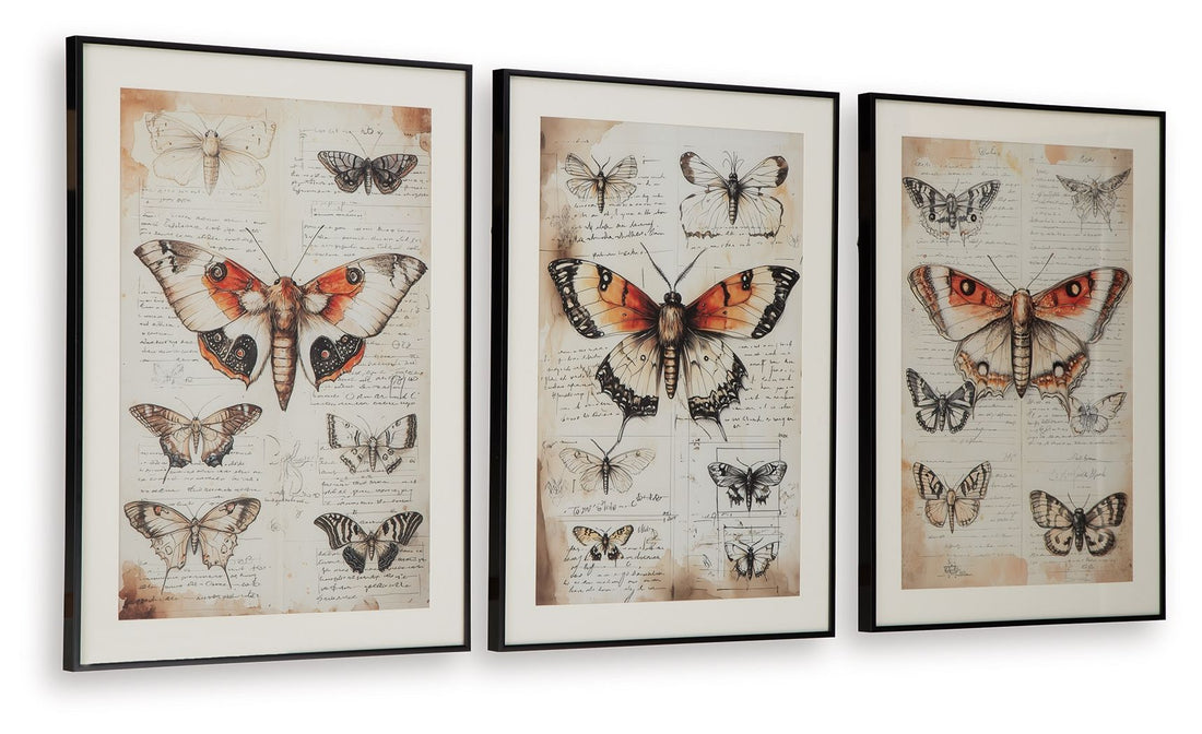 Jossletts - Wall Art Set (Set of 3) - Orange / Black / Ivory