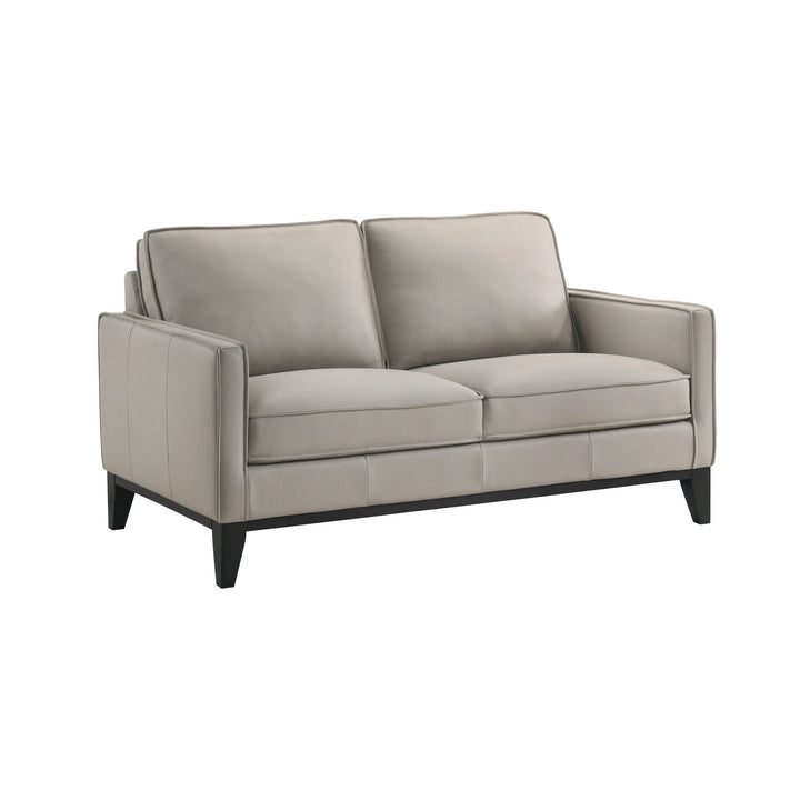 Aaron - Loveseat - Mist Gray