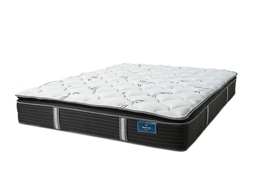 Model 100 Pillow Top